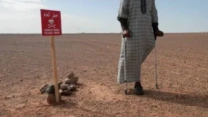 المكتب الصحراوي لتنسيق الأعمال المتعلقة بالألغام يرد على مغالطات الاحتلال المغربي