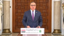 العلاقات الجزائرية-المصرية ذات طابع استراتيجي مميز