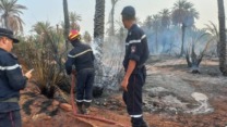 أدرار: تلف أزيد من 100 نخلة مثمرة إثر حريق شبّ بإحدى البساتين