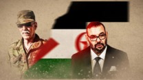 لا سيادة للمغرب على الصحراء الغربية