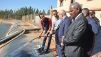 الانطلاق في تجسيد زراعات جديدة خارج شعبة الحبوب والعمل على ترقية شعبة تربية المائيات